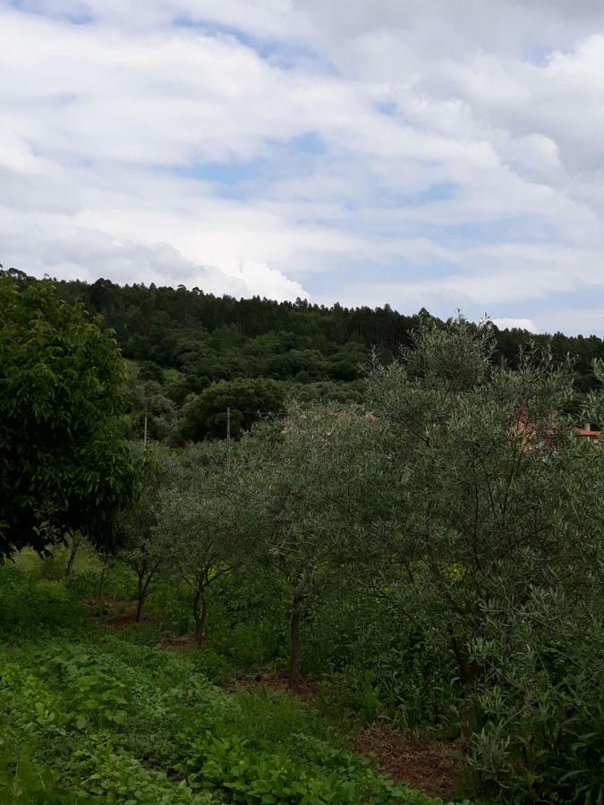 Quinta dos Templários Bed and Breakfast Ferreira do Zêzere Esterno foto