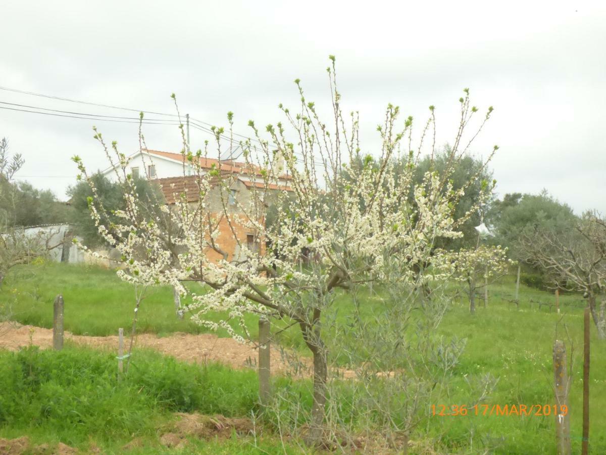 Quinta dos Templários Bed and Breakfast Ferreira do Zêzere Esterno foto